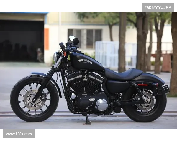 中年男人的撩妹利器,哈雷入门街车硬汉883,国内售价不到十万 中年男人的撩妹利器,哈雷入门街车硬汉883,国内售价不到十万
